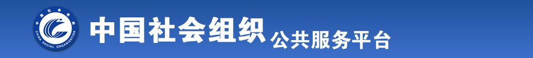 免费在线不卡午夜AV全国社会组织信息查询